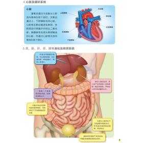 《3D模型科普书神奇的霸王龙》