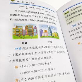 多功能小学数学辞典（彩图版）