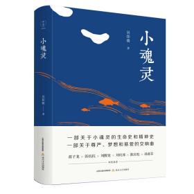 小魂灵（蒋子龙、张抗抗、刘醒龙、刘庆邦、陈应松、孙惠芬倾情推荐）