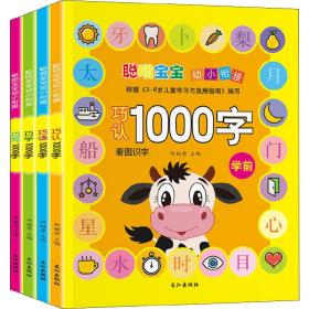 聪明宝宝幼小衔接1000字(4册)