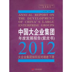 中国大企业集团年度发展报告 (紫皮书)? 2012 
