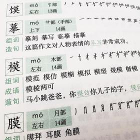 小学生笔顺规范组词造句字典（双色版）