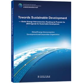 可持续发展之路——全球能源互联网落实《2030年可持续发展议程》行动路线（英文版）