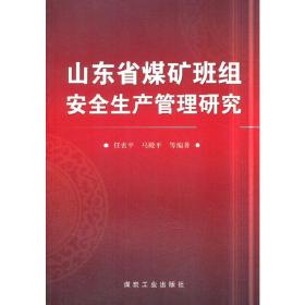 山东省煤矿班组安全生产管理研究