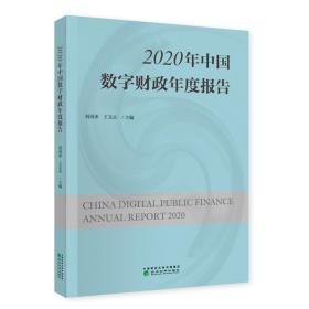 2020年中国数字财政年度报告