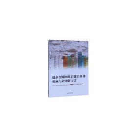 缝洞型碳酸盐岩储层测井刻画与评价新方法