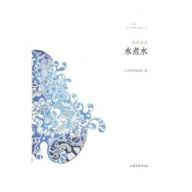 鲁军新锐系列丛书-水煮水（小说集）