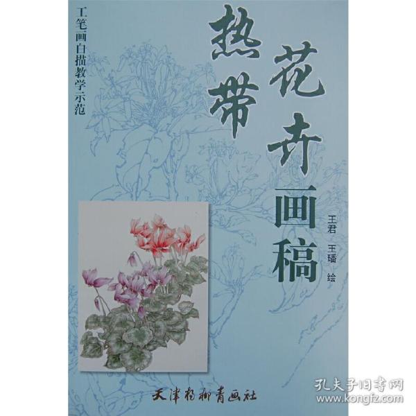 工笔画白描教学示范：热带花卉画稿