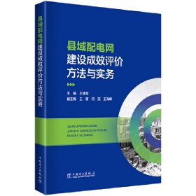 縣域配電網(wǎng)建設(shè)成效評(píng)價(jià)方法與實(shí)務(wù)