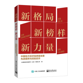 新格局 新榜样 新力量——中国地方经济高质量发展先进案例与经验启示