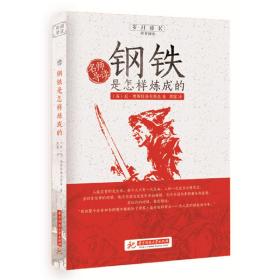 名师导读：钢铁是怎样炼成的