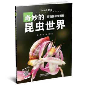 动物生存大揭秘：奇妙的昆虫世界