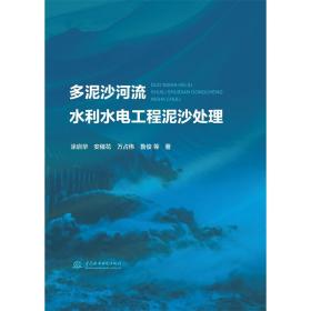 多泥沙河流水利水电工程泥沙处理