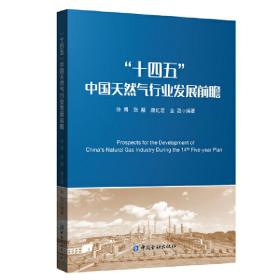 “十四五”中国天然气行业发展前瞻
