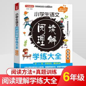 小学生语文阅读理解学练大全.6年级针对小学阶段常见的六大类文章，名师教你学一学+真题帮你练一练