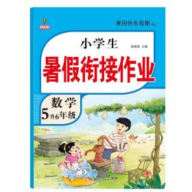 新版五年级数学暑假作业部编人教版5升6年级暑假衔接作业（复习+预习）