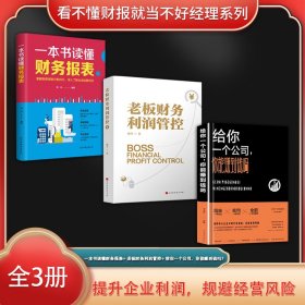 看不懂财报就当不好经理系列（全3册）一本书读懂财务报表+老板财务利润管控+给你一个公司，你能赚到钱吗？