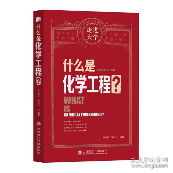 什么是化学工程走进大学丛书