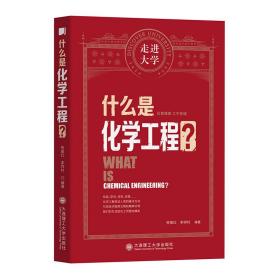 什么是化学工程走进大学丛书