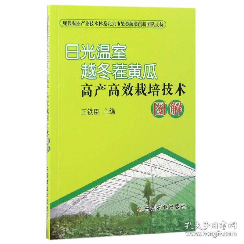 日光温室越冬茬黄瓜高产高效栽培技术图解