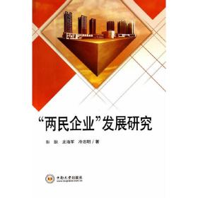 “两民企业”发展研究