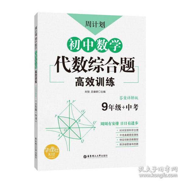 周计划：初中数学代数综合题高效训练（9年级+中考）