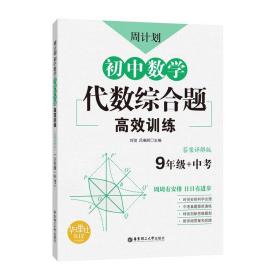 周计划：初中数学代数综合题高效训练（9年级+中考）