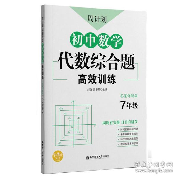 周计划：初中数学代数综合题高效训练（7年级）