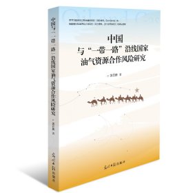 中国与“一带一路”沿线国家油气资源合作风险研究