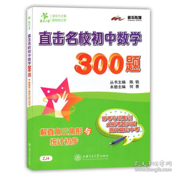 直击名校初中数学300题 解直角三角形与统计初步