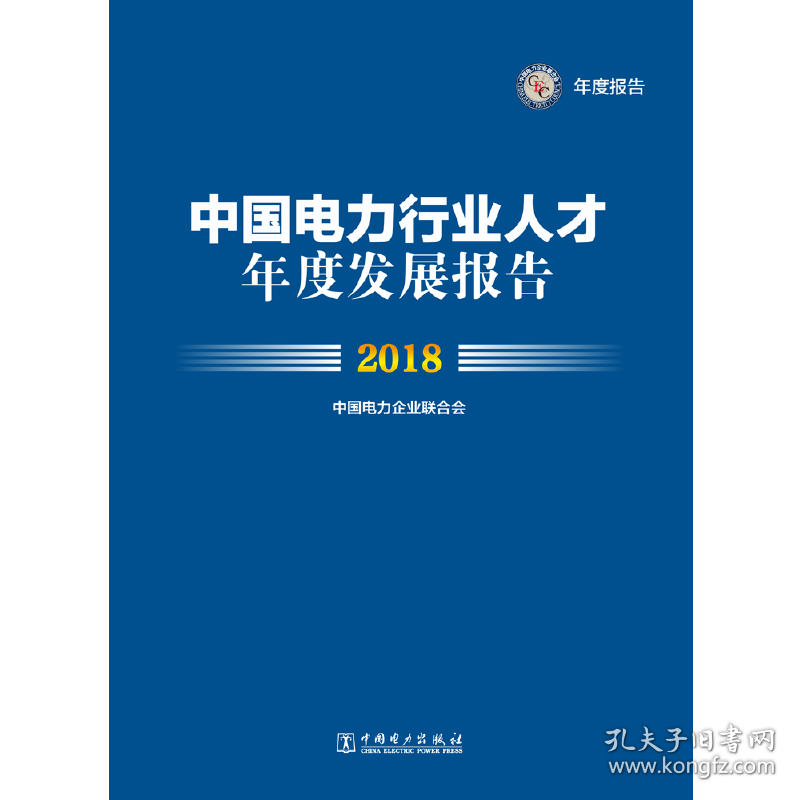 中国电力行业人才年度发展报告2018