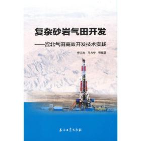 复杂砂岩气田开发——涩北气田高效开发技术实践