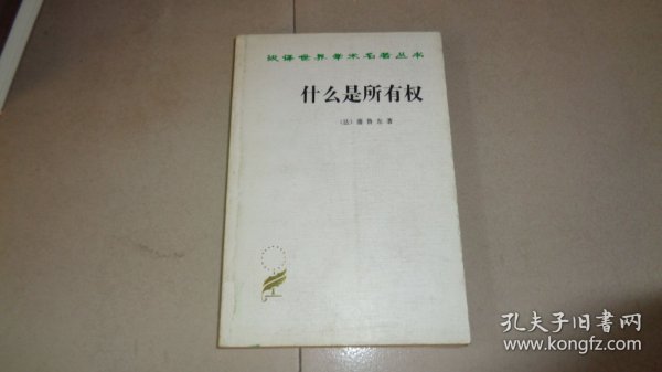 什么是所有权