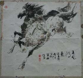 【保真】名家作品--广州美协主席---李晓白（春风得意）马图｛可议价书画｝