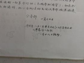 关于展开文化大革命的通知