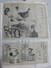 剪报菊花双鸡陈卓坤 孙以增漫画 天都云涛胶彩画蒋有作