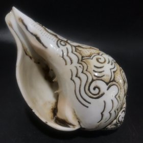 旧藏 藏传雕佛法螺规格：长16.5cm宽8.5cm重4420g