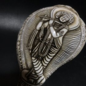 旧藏 藏传雕佛法螺规格：长16.5cm宽8.5cm重4420g