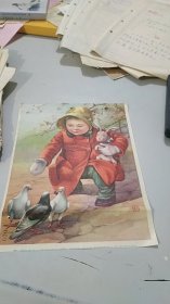 1956年11月出版著名画家金培庚年画《爱鸽子》：背面是1958年7月7日上海市第一印刷工业公司通知书（开除上海天平蜡纸中心厂职工厂籍）（32开）