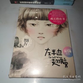 *左半边翅膀：我不是坏女生IV（全新未拆封）
