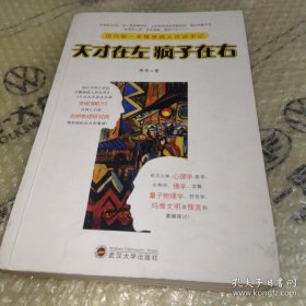 *天才在左 疯子在右：国内第一本精神病人访谈手记