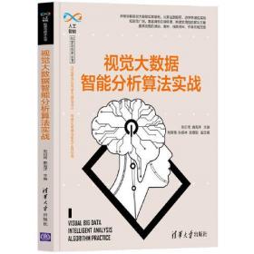 视觉大数据智能分析算法实战