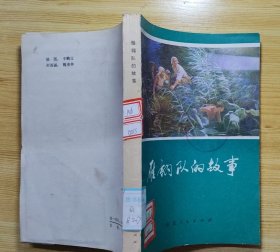 《雁翎队的故事》（大幅彩色插图本，描写冀中白洋淀的雁翎队，打鬼子的战斗故事）