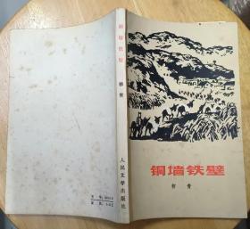 《铜墙铁壁》（有作战地图。描写解放战争期间，保卫延安的小说。）