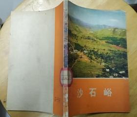《沙石峪》（许多历史照片。记录河北遵化沙石峪人民，战天斗地的动人事迹）