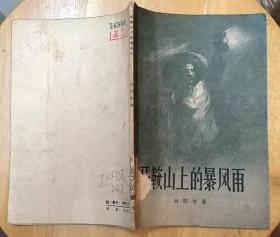 《马鞍山上的暴风雨》（1956年出版。描写工人阶级在党的领导下，进行社会主义建设的故事）