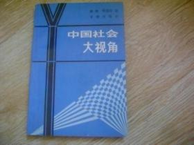 中國社會大視角