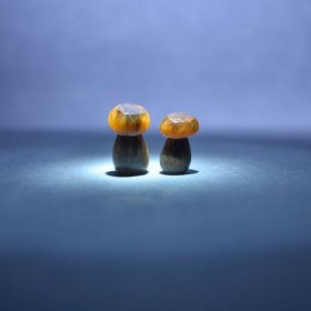 【惜墨舫】致敬708090天然新疆和田玉黑皮黄沁糖玉籽料蘑菇挂坠手机挂侧挂卡子提溜 苏工苏州玉雕 70后80后90后喜欢的藏品商品 致敬逆行者