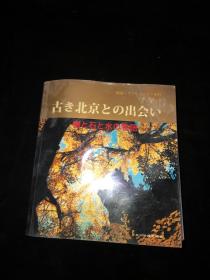 寻访北京的古迹：古树，雄石，宝水