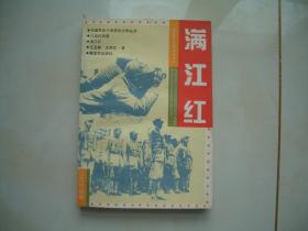 满江红  中国革命斗争报告文学丛书 江南抗战卷